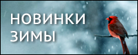 ������� ����