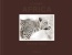«Classic Africa Collector's edition. Limited Edition of 50 copies»